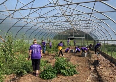 Volunteers preparing soil beds inside the Autism Sanctuary high tunnel