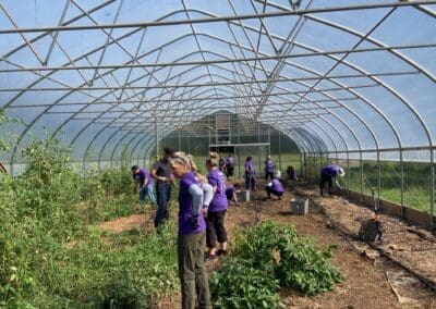 Volunteers inside the greenhouse preparing the soil for cool-season crops